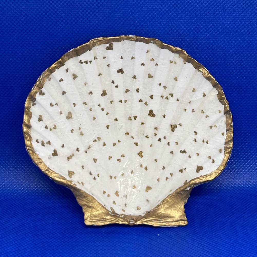 Decorative sea shell